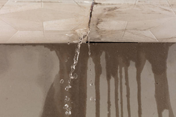 Professional Structural Drying technician working in Burgettstown, PA